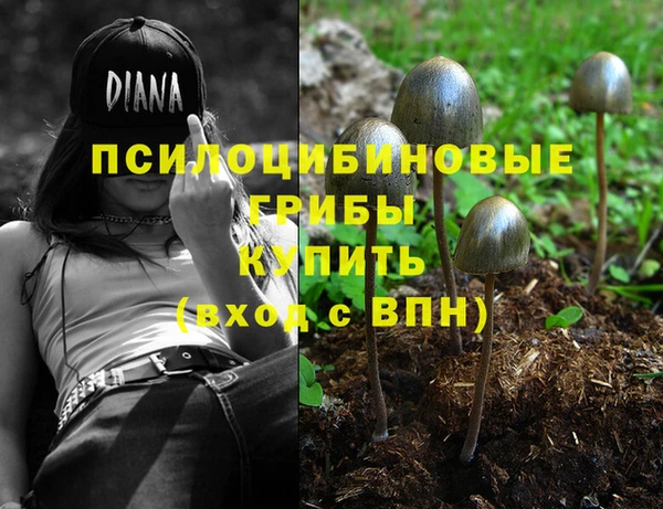 прущая мука Белоозёрский