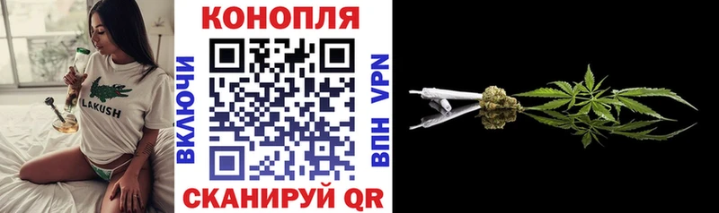 Марихуана сатива  Ельня 